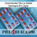 Commander De La Gelée Kamagra En Ligne 05
